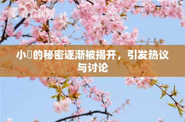 小泬的秘密逐渐被揭开，引发热议与讨论