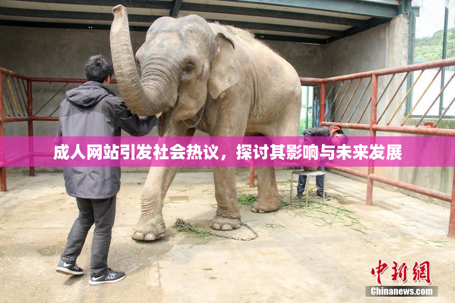 成人网站引发社会热议，探讨其影响与未来发展