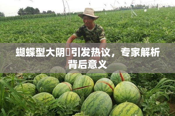 蝴蝶型大阴脣引发热议，专家解析背后意义